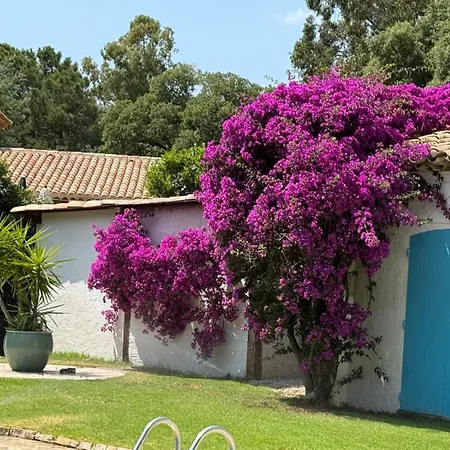 Eleven Sttropez Ramatuelle Pampelonne فيلة