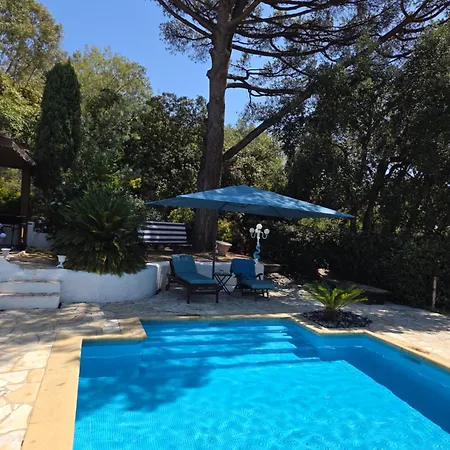 Provencal Sttropez Ramatuelle Pampelonne Σαιν-Τροπέ